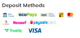 Royal-Panda-casino-deposit-methods